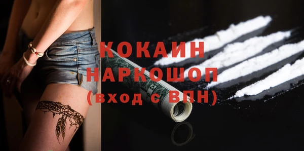 apvp Алексин