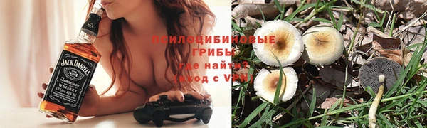 эйфоретик Алзамай